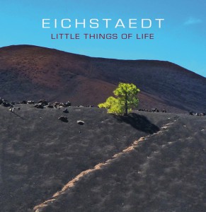 CD EIchstaedt Little Things Of Life