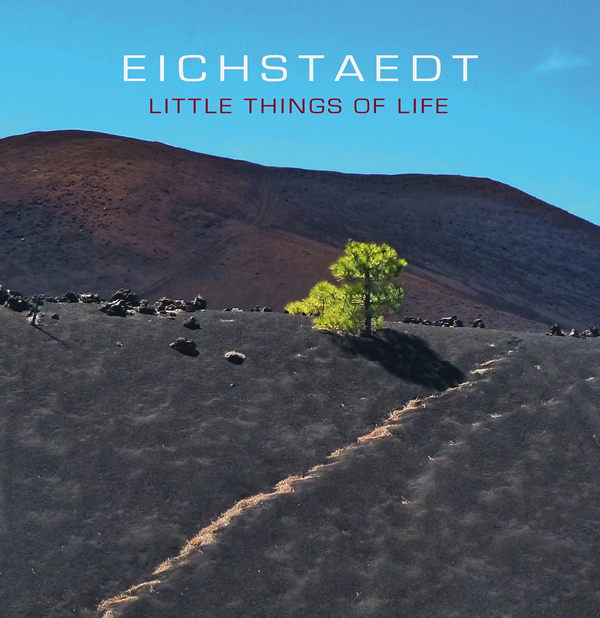 Eichstaedt - Little Things Of Life